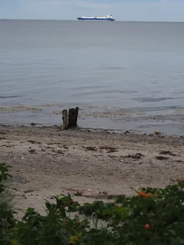 Halshuisene + Enebaerodde Beach (Denemarken)